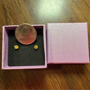 Elegant Yellow Stud Earrings